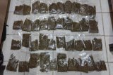 Polresta Jayapura tangkap pengedar ganja di Perumnas III