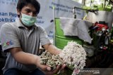 Pekerja menunjukan hasil olahan popok bekas pakai seusai di olah dengan mesin hidrotermal di Guna Olah Limbah (GOL) Lab, Kota Baru Parahyangan, Padalarang, Kabupaten Bandung Barat, Jawa Barat, Kamis (16/1/2020). Program Sustainability Softex Indonesia ini bekerjasama dengan Guna olah Limbah mendaur ulang sampah popok bayi bekas pakai menjadi sesuatu yang fungsional dan bernilai seperti pokbrick dan substitusi minyak tanah. ANTARA JABAR/M Agung Rajasa/agr