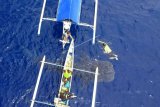 Seekor hiu paus berenang mendekati perahu pengunjung di pantai Botubarani di Kabupaten Bone Bolango, Gorontalo, Kamis (16/1/2020). Warga setempat mencatat sebanyak lima ekor hiu paus kembali datang sejak awal Januari 2020. ANTARA FOTO/Adiwinata Solihin/nym.