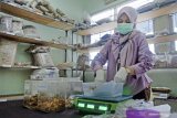 Sistem pendidikan kedokteran harus dukung obat herbal Indonesia