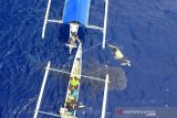 Seekor Hiu Paus berenang mendekati perahu pengunjung di pantai Botubarani di Kabupaten Bone Bolango, Gorontalo, Kamis (16/1). Warga setempat mencatat sebanyak lima ekor Hiu Paus kembali datang sejak awal Januari 2020. ANTARA FOTO/Adiwinata Solihin/ama.