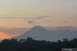 Gunung Semeru terlihat dari Desa Balung Kulon, Kecamatan Balung, Jember, Jawa Timur, Jumat (17/1/2020) kemarin sore. Pusat Vulkanologi Mitigasi dan Bencana Geologi menetapkan Gunung Semeru 3.676 meter dari permukaan laut (mdpl) berada pada Status Level II (Waspada) karena masih terekam terjadinya erupsi, seperti terjadi Jumat (17/1/2020), pukul 05.53 Wib dengan tinggi kolom abu teramati 400 meter di atas puncak yang mengarah ke timur laut dengan amplitudo maksimum 25 mm dan durasi 2 menit 9 detik. Antara Jatim/Seno/zk
