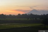 Gunung Semeru terlihat dari Desa Balung Kulon, Kecamatan Balung, Jember, Jawa Timur, Jumat (17/1/2020) kemarin sore. Pusat Vulkanologi Mitigasi dan Bencana Geologi menetapkan Gunung Semeru 3.676 meter dari permukaan laut (mdpl) berada pada Status Level II (Waspada) karena masih terekam terjadinya erupsi, seperti terjadi Jumat (17/1/2020), pukul 05.53 Wib dengan tinggi kolom abu teramati 400 meter di atas puncak yang mengarah ke timur laut dengan amplitudo maksimum 25 mm dan durasi 2 menit 9 detik. Antara Jatim/Seno/zk