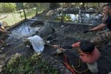 Relawan berusaha menangkap buaya muara (Crocodylus porosus) saat proses pemindahan di Pusat Penyelamatan Satwa, Tabanan, Bali, Sabtu (18/1/2020). Sebanyak 13 buaya hasil penyitaan dan penyerahan dari masyarakat tersebut dipindahkan ke Taman Nasional Way Kambas, Lampung, Sumatra untuk penyelamatan satwa tersebut ke habitatnya. ANTARA FOTO/Nyoman Hendra Wibowo/nym.