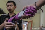 Siswa SMK Negeri 2 Kota Tasikmalaya Alwan Hanif Ramadhan menunjukan lengan bionik bernama 