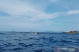 Semua penumpang kapal tenggelam di  Labuan Bajo selamat