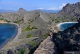 Sejumlah wisatawan mendaki puncak Pulau Padar untuk menyaksikan keindahan alam di kawasan Taman Nasional Komodo (TNK) di Manggarai Barat, NTT, Selasa (21/1/2020). Menurut Balai TNK, jumlah kunjungan wisatawan sejak Desember 2019 hingga pertengahan Ja