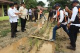 Jalan provinsi rusak ditanami padi, Nasrul Abit turun tangan