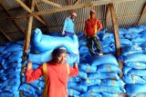 Pekerja memasukkan garam stok 2019 ke dalam gudang penimbunan di Desa Bunder, Pamekasan, Jawa Timur, Rabu (22/1/2020). Sebanyak 301.696 ton garam rakyat dan 454.599 ton milik PT Garam, hasil produksi tahun 2019 belum terserap, akibat harga garam anjlok hingga Rp200 per kg yang disebabkan salah satunya masih dibukanya kran impor. Antara Jatim/Saiful Bahri/zk