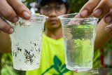 Petugas menunjukan air limbah yang belum diolah (kiri) dan yang sudah diolah (kanan) menggunakan Instalasi Pengolahan Air Limbah (IPAL) Wetland-Biocord Ekoparian di Telukajambe, Karawang, Jawa Barat, Rabu (22/1/2020). Menurut Kementerian Lingkungan Hidup dan Kehutanan konsep ekoparian dapat menurunkan pencemaran air serta merehabilitasi sungai dan daerah aliran sungai sebagai salah satu upaya mitigasi bencana banjir di Jawa Barat, Banten dan DKI Jakarta. ANTARA JABAR/M Ibnu Chazar/agr