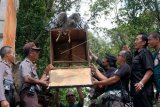 Anggota polisi bersama relawan melepasliarkan burung elang bido (Spilornis cheela) di kawasan hutan Pura Luhur Besi Kalung, Tabanan, Bali, Kamis (23/1/2020). Petugas gabungan terdiri dari polisi, BKSDA dan relawan melepasliarkan satwa sitaan yang sempat direhabilitasi di Pusat Penyelamatan Satwa, Tabanan berupa tiga ekor ular sanca, seekor burung elang bido, seekor burung cekakak dan tiga ekor landak. ANTARA FOTO/Nyoman Hendra Wibowo/nym.