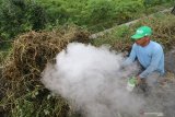 Petani mengasapi sarang tikus di area persawahan Desa Paron, Kediri, Jawa Timur, Kamis (23/1/2020). Petani daerah setempat memanfaatkan racun asap bantuan Dinas Pertanian dan Perkebunan guna mengendalikan hama tikus dan tidak menggunakan racun umpan karena dapat mengancam keberadaan burung hantu sebagai pemangsa alami tikus. Antara Jatim/Prasetia Fauzani/zk