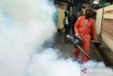 Penggunaan fogging dibatasi dalam mencegah DBD di Lembata