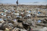 Pengunjung berada di kawasan objek wisata pantai yang dipenuhi sampah di Desa Peunaga Rayeuk, Kecamatan Meureubo, Aceh Barat, Aceh, Jumat (24/1/2020). Keberadaan sampah di pantai tersebut selain dapat menganggu ke indahan pantai juga dapat menganggu aktivitas pengunjung dan wisatawan. Antara Aceh/Syifa Yulinnas.