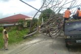 Pohon tumbang timpa mobil dan robohkan tiang listrik