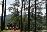 Pengunjung menikmati suasana alam pegunungan di kawasan hutan wisata Nongko Ijo, Kabupaten Madiun, Jawa Timur, Minggu (26/1/2020). Kawasan hutan wisata dengan tanaman pohon pinus di lereng Gunung Wilis tersebut ramai dikunjungi wisatawan pada saat liburan. Antara Jatim/Siswowidodo/zk