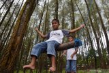 Pengunjung menikmati suasana alam pegunungan di kawasan hutan wisata Nongko Ijo, Kabupaten Madiun, Jawa Timur, Minggu (26/1/2020). Kawasan hutan wisata dengan tanaman pohon pinus di lereng Gunung Wilis tersebut ramai dikunjungi wisatawan pada saat liburan. Antara Jatim/Siswowidodo/zk