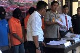 Polisi tangkap empat pelaku pencurian sapi