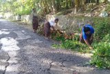 Empat warga Sikka NTT meninggal akibat penyakit DBD