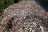 Seorang warga menemukan bendera merah putih di antara sampah plastik di Sungai Citepus yang bermuara ke Sungai Citarum di Bojong Citepus, Cangkuang Wetan, Dayeuhkolot, Kabupaten Bandung, Jawa Barat, Selasa (28/1/2020). Menurut warga, sampah tersebut telah mengendap selama sebulan dan mereka berharap pemerintah setempat bisa segera membersihkannya karena dapat menimbulkan berbagai penyakit. ANTARA FOTO/Raisan Al Farisi/aww.