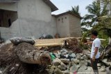 Belasan rumah di pantai Bangka Tengah terancam abrasi
