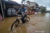 Warga menerjang banjir di Komplek Griya Mitra Posindo, Cileunyi, Kabupaten Bandung, Jawa Barat, Sabtu (8/2/2020). Hujan dengan intensitas tinggi pada Jumat (7/2) membuat tanggul sungai jebol sehingga merendam puluhan rumah di komplek tersebut. ANTARA JABAR/Raisan Al Farisi/agr