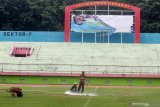 Pekerja melakukan perawatan rutin rumput lapangan di Stadion Gelora Delta Sidoarjo, Jawa Timur, Minggu (9/2/2020). Stadion Gelora Delta Sidoarjo menjadi salah satu dari lima lapangan pendukung untuk latihan para pemain dalam persiapan pertandingan sepak bola Piala Dunia U-20. Antara Jatim/Umarul Faruq/zk