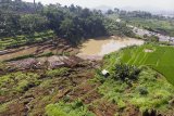 Foto udara area persawahan yang longsor akibat pergerakan tanah di Desa Sukatani, Ngamprah, Kabupaten Bandung Barat, Jawa Barat, Rabu (12/2/2020). Longsor di wilayah tersebut telah menimbun serta merusak 10 rumah warga dan sebanyak 80 kepala keluarga mengungsi ke tempat yang lebih aman. ANTARA JABAR/M Agung Rajasa/agr