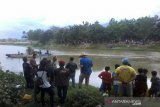 Dibantu dua ahli reptil Australia, Satgas BKSDA buru buaya berkalung ban di Sungai Palu