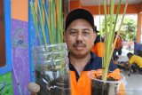 Petugas memperlihatkan tanaman vetiver (Chrysopogon zizanioides) di kantor Badan Penanggulangan Bencana Daerah (BPBD) Situbondo, Jawa Timur, Jumat (14/2/2020). BPBD Situbondo melakukan pembibitan tanaman vetiver untuk dibagikan ke warga dan ditanam di lereng curam untuk mengurangi erosi tanah atau longsor karena tanaman tersebut memiliki akar mencapai lima meter. Antara Jatim/Seno/zk