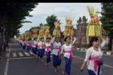 Sejumlah perempuan Bali mengusung Gebogan atau sesajen berisi buah, kue, bunga dan hiasan janur dalam tradisi Mapeed yaitu rangkaian persembahyangan Hari Raya Galungan di Desa Lukluk, Badung, Bali, Rabu (19/2/2020). Tradisi parade sesajen tersebut dilakukan menjelang persembahyangan bersama di Pura Dalem dalam merayakan hari kemenangan 