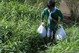 Warga membawa sampah di Hari Peduli Sampah Nasional di Sungai Bedadung, Kaliwates, Jember, Jawa Timur, Jumat (21/2/2020). Ratusan relawan dari komunitas peduli sampah dan instansi di Jember membersihkan sampah plastik di Sungai Bedadung, mengangkut sampah dari tempat pembuangan sampah liar di tepi jalan, dan menanam pohon sebagai upaya menjaga lingkungan, dan mengurangi sampah. Antara Jatim/Seno/zk.