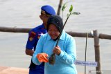 Wali Kota Surabaya Tri Rismaharini melepas pembungkus akar bibit tanaman Mangrove sebelum ditanam di pesisir Romokalisari, Surabaya, Jawa Timur, Jumat (21/2/2020). Kegiatan yang melibatkan Polri, TNI, masyarakat dan pelajar itu menanam sekitar 62.000 bibit tanaman mangrove di kawasan Romokalisari dan di sejumlah kawasan pesisir di Jawa Timur. Antara Jatim/Didik/Zk