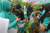 Warga dari sejumlah komunitas menanam pohon di gunung Klotok, Kelurahan Pojok, Kota Kediri, Jawa Timur, Sabtu (22/2/2020). Penanaman seribu bibit pohon berbagai jenis tersebut untuk melestarikan sumber air di wilayah sekitar. Antara Jatim/Prasetia Fauzani/zk