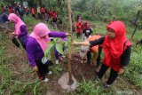 Warga dari sejumlah komunitas menanam pohon di gunung Klotok, Kelurahan Pojok, Kota Kediri, Jawa Timur, Sabtu (22/2/2020). Penanaman seribu bibit pohon berbagai jenis tersebut untuk melestarikan sumber air di wilayah sekitar. Antara Jatim/Prasetia Fauzani/zk