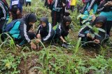 Warga dari sejumlah komunitas menanam pohon di gunung Klotok, Kelurahan Pojok, Kota Kediri, Jawa Timur, Sabtu (22/2/2020). Penanaman seribu bibit pohon berbagai jenis tersebut untuk melestarikan sumber air di wilayah sekitar. Antara Jatim/Prasetia Fauzani/zk