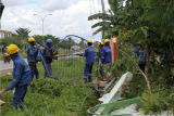 Petugas PT PLN Persero Cabang Kendari mengangkat pintu pagar yang rusak akibat tertimpa tiang listrik yang roboh diterpa angin kencang di Kecamatan Baruga, Kendari, Sulawesi Tenggara, Kamis (20/2/2020). Akibat angin kencang disertai hujan lebat menyebabkan empat tiang listrik roboh dan menimpa pagar rumah dan pagar yayasan Assafiyah Baruga, namun tidak ada korban jiwa atas kejadian tersebut. ANTARA FOTO/Jojon/ama.