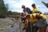 Polisi Mimika tanam pohon mangrove di pesisir pantai Poumako