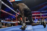 Deontay Wilder tantang Fury untuk tarung ulang