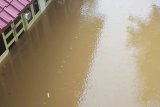 Rumah Roy Marten kembali terendam banjir