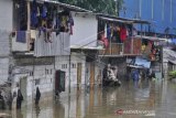 Banjir rawa teratai Jakarta