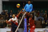 Surabaya Bhayangkara Samator taklukan Palembang Bank Sumsel Babel 3-1