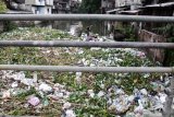 Pemulung memungut sampah plastik yang menumpuk di Sungai Buntung, Waru, Sidoarjo, Jawa Timur, Sabtu (29/2/2020). Sampah yang dibersihkan pada beberapa minggu yang lalu dengan mengerahkan ratusan sukarelawan kembali dipenuhi sampah. antara Jatim/Umarul Faruq/zk