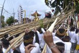 Ribuan warga ikuti tradisi