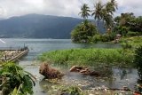 Air Danau Singkarak meluap genangi sawah dan rumah warga