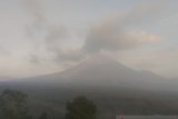 Semeru luncurkan tujuh kali guguran lava pijar