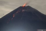 Guguran lava pijar Gunung Semeru terlihat dari Desa Pranajiwo, Lumajang, Jawa Timur, Rabu (4/3/2020). Aktivitas vulkanik Gunung Semeru di Jawa Timur meningkat sejak sepekan terakhir dengan intensitas delapan kali guguran lava pijar dengan jarak luncur 200 hingga 1.000 dari pusat guguran gunung dan status Siaga level II atau waspada. Antara Jatim/Umarul Faruq/zk