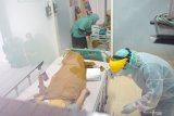 Perawat dengan mengenakan pakaian APD (Alat Pelindung Diri) berupa baju Hazmat (Hazardous Material) melayani pasien kedua suspect (terduga penderita) COVID-19 (Corona Virus Desease) di kamar isolasi khusus RSUD dr Iskak, Tulungagung, Jawa Timur, Rabu (4/3/2020). Pasien perempuan berlatar belakang buruh migrant dengan inisial DS (41) dinyatakan suspect COVID-19 sehingga harus menjalani perawatan khusus di kamar isolasi Ruang Pulmonary RSUD dr. Iskak karena menderita flu dan radang tenggorokan disertai demam tinggi dengan riwayat baru melakukan perjalanan ke negara yang terpapar wabah virus Corona, yakni ke China pada 15-25 Februari, di Hongkong pada 25-26 Februari, dan tiba Indonesia pada 27 Februari. Antara Jatim/Destyan Sujarwoko/zk.