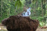 Warga melintas di area longsor di Kluncing, Banyuwangi, Jawa Timur, Rabu (4/3/2020). Tanah longsor yang membawa material lumpur dan pepohonan pada selasa (3/3) malam akibat hujan deras itu, mengakibatkan sebagian akses jalan tertutup material longsoran dan menutup saluran air. Antara Jatim/Budi Candra Setya/zk.