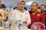 KKP : Negara pengimpor hasil laut Indonesia minta ketertelusuran asal ikan